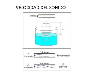 VELOCIDAD DEL SONIDO 
 