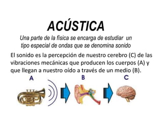 ACÚSTICA 
Una parte de la física se encarga de estudiar un 
tipo especial de ondas que se denomina sonido 
El sonido es la percepción de nuestro cerebro (C) de las 
vibraciones mecánicas que producen los cuerpos (A) y 
que llegan a nuestro oído a través de un medio (B). 
 