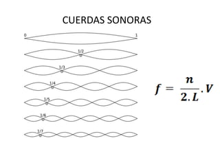 CUERDAS SONORAS 
 