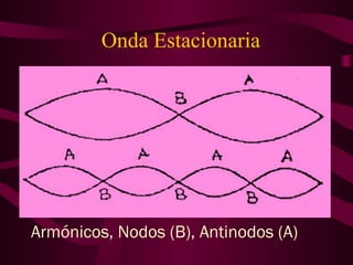 Onda Estacionaria
Armónicos, Nodos (B), Antinodos (A)
 