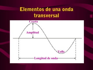 Elementos de una onda
transversal
Longitud de onda
Amplitud
Cresta
Valle
 