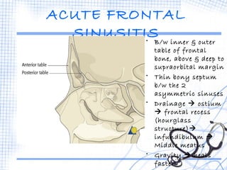 ACUTE FRONTAL 
SINUSITIS• B/w inner & outer 
table of frontal 
bone, above & deep to 
supraorbital margin 
• Thin bony septum 
b/w the 2 
asymmetric sinuses 
• Drainage  ostium 
 frontal recess 
(hourglass 
structure) 
infundibulum  
Middle meatus 
• Gravity  heals 
faster 
 