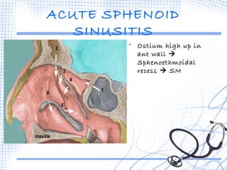 ACUTE SPHENOID 
SINUSITIS 
• Ostium high up in 
ant wall  
Sphenoethmoidal 
recess  SM 
 