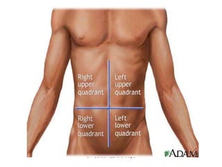 Acute Abdominal Pain