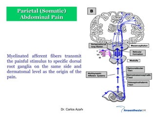 Acute Abdominal Pain