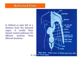Acute Abdominal Pain