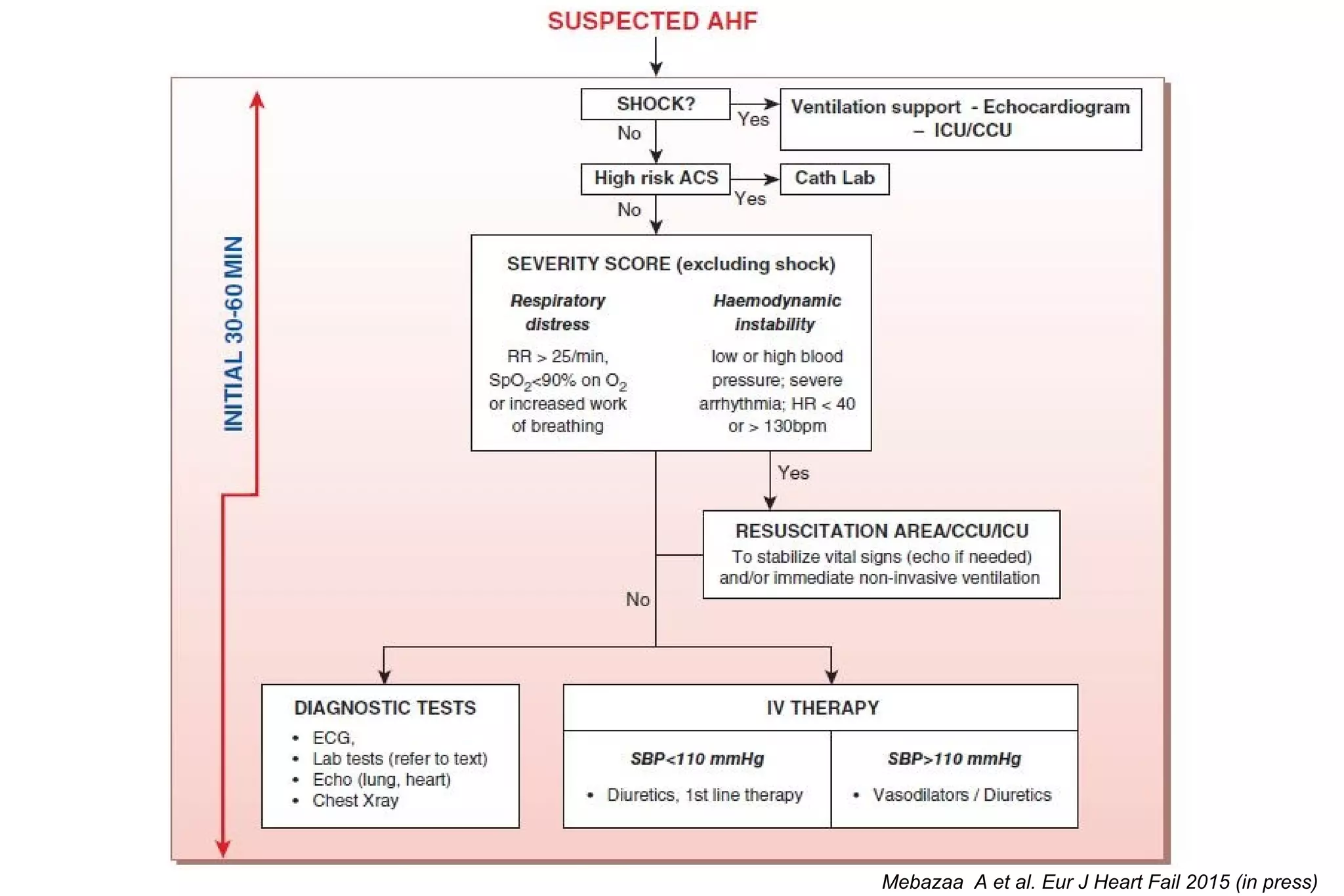 Mebazaa A et al. Eur J Heart Fail 2015 (in press)
 