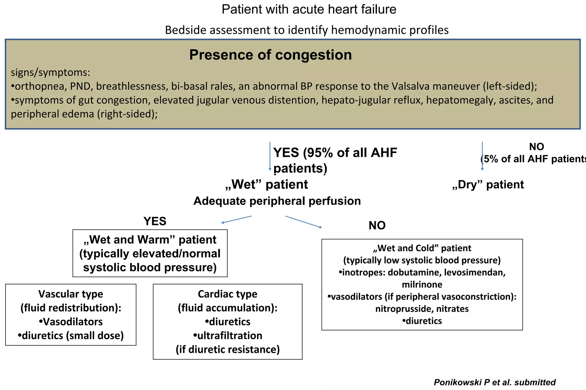 Bedside assessment to identify hemodynamic profiles
Patient with acute heart failure
signs/symptoms:
•orthopnea, PND, breathlessness, bi-basal rales, an abnormal BP response to the Valsalva maneuver (left-sided);
•symptoms of gut congestion, elevated jugular venous distention, hepato-jugular reflux, hepatomegaly, ascites, and
peripheral edema (right-sided);
Presence of congestion
YES (95% of all AHF
patients)
„Wet” patient
NO
(5% of all AHF patients
„Dry” patient
Adequate peripheral perfusion
YES
„Wet and Warm” patient
(typically elevated/normal
systolic blood pressure)
NO
„Wet and Cold” patient
(typically low systolic blood pressure)
•inotropes: dobutamine, levosimendan,
milrinone
•vasodilators (if peripheral vasoconstriction):
nitroprusside, nitrates
•diuretics
Vascular type
(fluid redistribution):
•Vasodilators
•diuretics (small dose)
Cardiac type
(fluid accumulation):
•diuretics
•ultrafiltration
(if diuretic resistance)
Ponikowski P et al. submitted
 