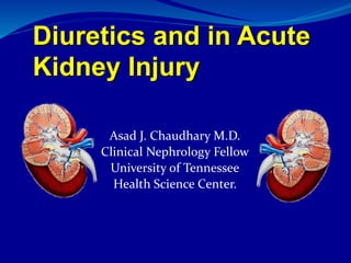 Diuretics and in Acute
Kidney Injury
Asad J. Chaudhary M.D.
Clinical Nephrology Fellow
University of Tennessee
Health Science Center.
 