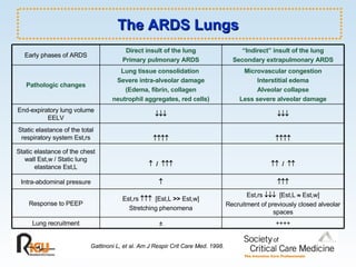 The ARDS Lungs Gattinoni L, et al. Am J Respir Crit Care Med. 1998. Microvascular congestion Interstitial edema Alveolar collapse Less severe alveolar damage Lung tissue consolidation  Severe intra-alveolar damage (Edema, fibrin, collagen neutrophil aggregates, red cells) Pathologic changes ++++ ± Lung recruitment   Intra-abdominal pressure Est,rs      [Est,L      Est,w] Recruitment of previously closed alveolar spaces Est,rs      [Est,L   >>  Est,w] Stretching phenomena Response to PEEP    /      /   Static elastance of the chest wall Est,w / Static lung elastance Est,L   Static elastance of the total respiratory system Est,rs   End-expiratory lung volume EELV “ Indirect” insult of the lung Secondary extrapulmonary ARDS Direct insult of the lung Primary pulmonary ARDS Early phases of ARDS 