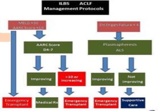Acute-on-chronic liver failure (ACLF).pptx