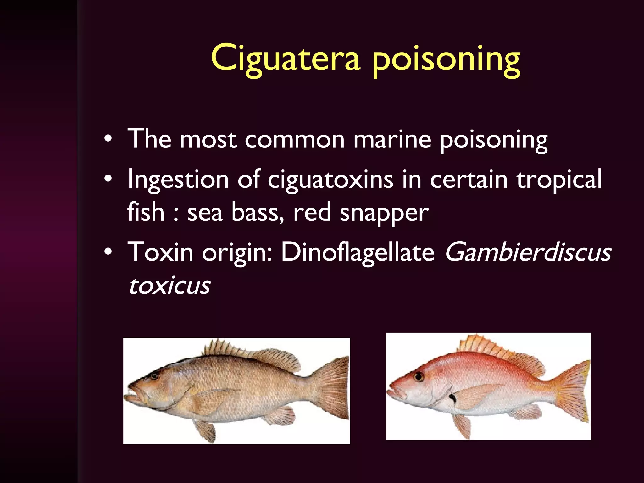 Ciguatera poisoning The most common marine poisoning Ingestion of ciguatoxins in certain tropical fish : sea bass, red snapper Toxin origin: Dinoflagellate  Gambierdiscus toxicus 