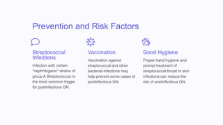 Prevention and Risk Factors
Streptococcal
Infections
Infection with certain
"nephritogenic" strains of
group A Streptococcus is
the most common trigger
for postinfectious GN.
Vaccination
Vaccination against
streptococcal and other
bacterial infections may
help prevent some cases of
postinfectious GN.
Good Hygiene
Proper hand hygiene and
prompt treatment of
streptococcal throat or skin
infections can reduce the
risk of postinfectious GN.
 