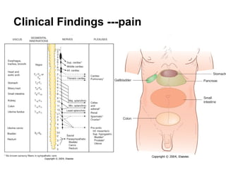 Clinical Findings ---pain 