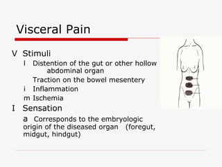Visceral Pain 􀂉  Stimuli 􀂄  Distention of the gut or other hollow  abdominal organ 􀂄  Traction on the bowel mesentery 􀂄  Inflammation 􀂄  Ischemia 􀂉  Sensation 􀂄  Corresponds to the embryologic  origin of the diseased organ  (foregut, midgut, hindgut) 