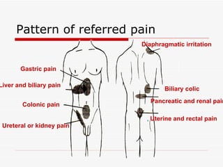 Pattern of referred pain Gastric pain Liver and biliary pain Colonic pain Ureteral or kidney pain Diaphragmatic irritation Biliary colic Pancreatic and renal pain ,  Uterine and rectal pain 