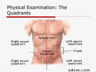 Physical Examination: The Quadrants 