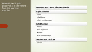 Referred pain is pain
perceived at a site distant
from the source of
stimulus.
Locations and Causes of Referred Pain:
Right Shoulder
• Liver
• Gallbladder
• Right hemidiaphragm
Left Shoulder
• Heart
• Tail of pancreas
• Spleen
• Left hemidiaphragm
Scrotum and Testicles
• Ureter
 