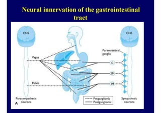 Neural innervation of the gastrointestinal
tract
5
 