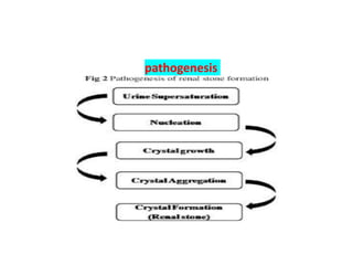 pathogenesis
 