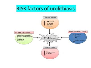 RISK factors of urolithiasis
 