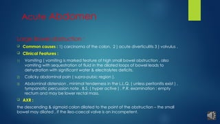 Acute Abdomen Presentation Lecture.pptx