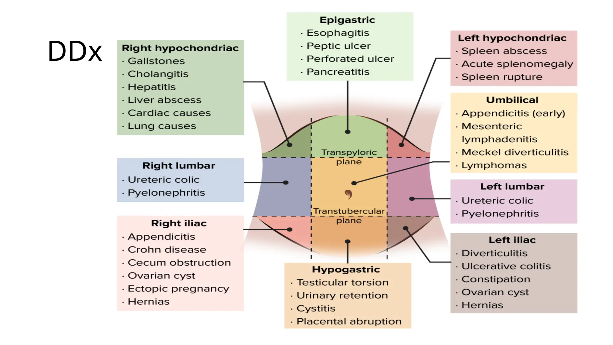 ACUTE ABDOMEN appendicitis AND peritonitis eden 2024.pptx
