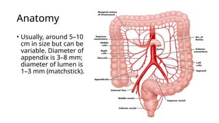 ACUTE ABDOMEN appendicitis AND peritonitis eden 2024.pptx