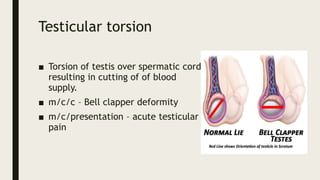 ACUTE ABDOMEN IMAGING 2.pptxACUTE ABDOMEN IMAGING 2.pptxACUTE ABDOMEN ...