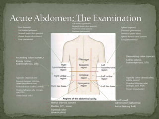• Liver (hepatitis)
• Gall bladder (gallstones)
• Stomach (peptic ulcer, gastritis)
• Hepatic flexure colon (cancer)
• Lung (pneumonia)
• Ascending colon (cancer,)
• Kidney (stone,
hydronephrosis, UTI)
• Appendix (Appendicitis)
• Caecum (tumour, volvulus,
closed loop obstruction)
• Terminal ileum (crohns, mekels)
• Ovaries/fallopian tube (ectopic,
cyst, PID)
• Ureter (renal colic)
• Liver (hepatitis)
• Gall bladder (gallstones)
• Stomach (peptic ulcer, gastritis)
• Transverse colon (cancer)
• Pancreas (pancreatitis)
• Heart (MI)
• Spleen (rupture)
• Pancreas (pancreatitis)
• Stomach (peptic ulcer)
• Splenic flexure colon (cancer)
• Lung (pneumonia)
• Descending colon (cancer)
• Kidney (stone,
hydronephrosis, UTI)
• Sigmoid colon (diverticulitis,
colitis, cancer)
• Ovaries/fallopian tube
(ectopic, cyst, PID)
• Ureter (renal colic)
• Uterus (fibroid, cancer)
• Bladder (UTI, stone)
• Sigmoid colon
(diverticulitis)
• Small bowel
(obstruction/ischaemia)
• Aorta (leaking AAA)
 