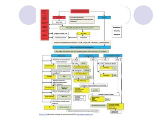 Acute abdominal pain.dr.majidi