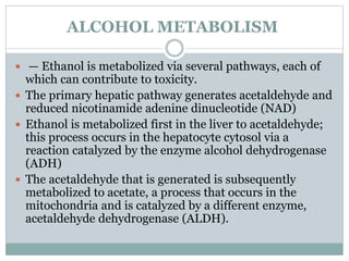 ALCOHOL METABOLISM
 — Ethanol is metabolized via several pathways, each of
which can contribute to toxicity.
 The primary hepatic pathway generates acetaldehyde and
reduced nicotinamide adenine dinucleotide (NAD)
 Ethanol is metabolized first in the liver to acetaldehyde;
this process occurs in the hepatocyte cytosol via a
reaction catalyzed by the enzyme alcohol dehydrogenase
(ADH)
 The acetaldehyde that is generated is subsequently
metabolized to acetate, a process that occurs in the
mitochondria and is catalyzed by a different enzyme,
acetaldehyde dehydrogenase (ALDH).
 