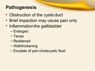Pathogenesis
• Obstruction of the cysticduct
• Brief impaction may cause pain only
• Inflammationthe gallbladder
– Enlarged
– Tense
– Reddened
– Wallthickening
– Exudate of peri-cholecystic fluid
 