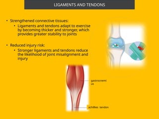 Comprehensive Analysis of Acute and Chronic Resistance Training Effects ...