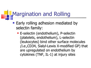 Margination and Rolling Early rolling adhesion mediated by selectin family: E-selectin (endothelium), P-selectin (platelets, endothelium), L-selectin (leukocytes) bind other surface molecules  (i.e., CD34, Sialyl-Lewis X-modified GP) that are upregulated on endothelium by cytokines (TNF, IL-1) at injury sites 