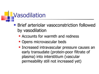 Vasodilation Brief arteriolar vasoconstriction followed by vasodilation Accounts for warmth and redness Opens microvascular beds Increased intravascular pressure causes an early transudate (protein-poor filtrate of plasma) into interstitium (vascular permeability still not increased yet) 
