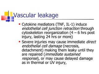 Vascular leakage Cytokine mediators (TNF, IL-1) induce  endothelial cell junction retraction  through cytoskeleton reorganization (4 – 6 hrs post injury, lasting 24 hrs or more) Severe injuries may cause immediate  direct endothelial cell damage  (necrosis, detachment) making them leaky until they are repaired ( immediate sustained response ), or may cause delayed damage as in thermal or UV injury,  