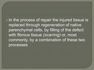In the process of repair the injured tissue is
replaced through regeneration of native
parenchymal cells, by filling of the defect
with fibrous tissue (scarring) or, most
commonly, by a combination of these two
processes
 
