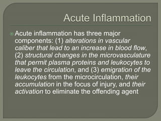  Acute inflammation has three major
components: (1) alterations in vascular
caliber that lead to an increase in blood flow,
(2) structural changes in the microvasculature
that permit plasma proteins and leukocytes to
leave the circulation, and (3) emigration of the
leukocytes from the microcirculation, their
accumulation in the focus of injury, and their
activation to eliminate the offending agent
 