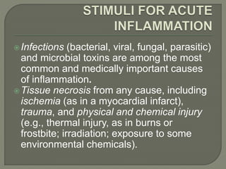 Infections (bacterial, viral, fungal, parasitic)
and microbial toxins are among the most
common and medically important causes
of inflammation.
Tissue necrosis from any cause, including
ischemia (as in a myocardial infarct),
trauma, and physical and chemical injury
(e.g., thermal injury, as in burns or
frostbite; irradiation; exposure to some
environmental chemicals).
 
