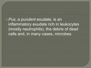 Pus, a purulent exudate, is an
inflammatory exudate rich in leukocytes
(mostly neutrophils), the debris of dead
cells and, in many cases, microbes.
 