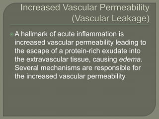 A hallmark of acute inflammation is
increased vascular permeability leading to
the escape of a protein-rich exudate into
the extravascular tissue, causing edema.
Several mechanisms are responsible for
the increased vascular permeability
 