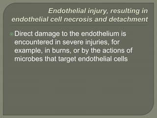 Direct damage to the endothelium is
encountered in severe injuries, for
example, in burns, or by the actions of
microbes that target endothelial cells
 