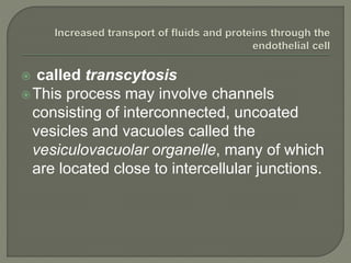  called transcytosis
This process may involve channels
consisting of interconnected, uncoated
vesicles and vacuoles called the
vesiculovacuolar organelle, many of which
are located close to intercellular junctions.
 