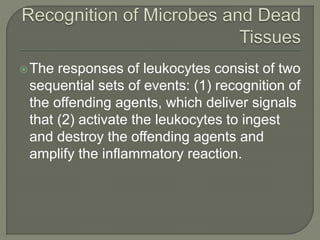 The responses of leukocytes consist of two
sequential sets of events: (1) recognition of
the offending agents, which deliver signals
that (2) activate the leukocytes to ingest
and destroy the offending agents and
amplify the inflammatory reaction.
 