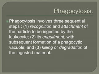 Phagocytosis involves three sequential
steps : (1) recognition and attachment of
the particle to be ingested by the
leukocyte; (2) its engulfment, with
subsequent formation of a phagocytic
vacuole; and (3) killing or degradation of
the ingested material.
 