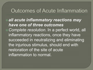 all acute inflammatory reactions may
have one of three outcomes
Complete resolution. In a perfect world, all
inflammatory reactions, once they have
succeeded in neutralizing and eliminating
the injurious stimulus, should end with
restoration of the site of acute
inflammation to normal.
 