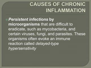 Persistent infections by
microorganisms that are difficult to
eradicate, such as mycobacteria, and
certain viruses, fungi, and parasites. These
organisms often evoke an immune
reaction called delayed-type
hypersensitivity
 