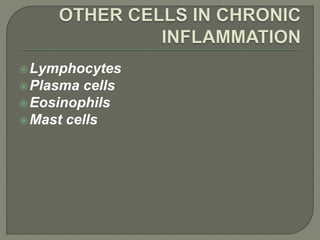 Lymphocytes
Plasma cells
Eosinophils
Mast cells
 