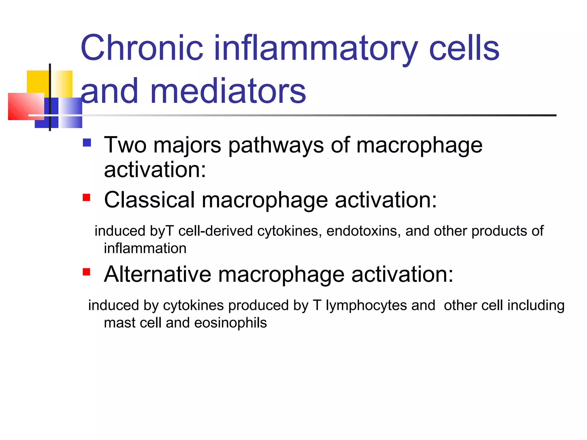 Acute and chronic inflammation | PPT